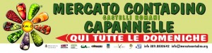 Mercato Contadino Castelli Romani e Capannelle 15
